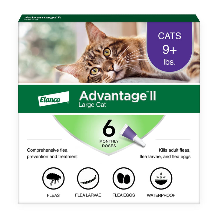 II Large Cat Vet-Recommended Flea Treatment & Prevention | Cats Over 9 lbs. | 6-Month Supply