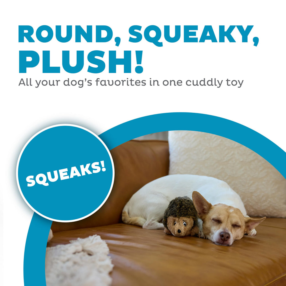 Hedgehogz Plush Dog Toy, Small
