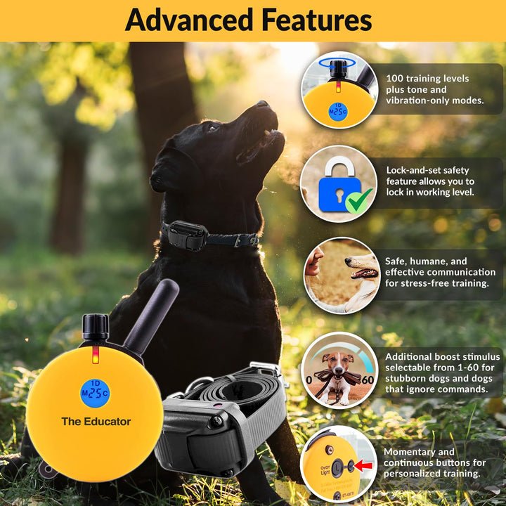 E-Collar Humane Dog Training Collar with Remote, Features 100 Levels of Safe Stimulation, Tapping Sensation, Night Light, Waterproof, Rechargeable, 3/4 Mile 1 Dog, Yellow