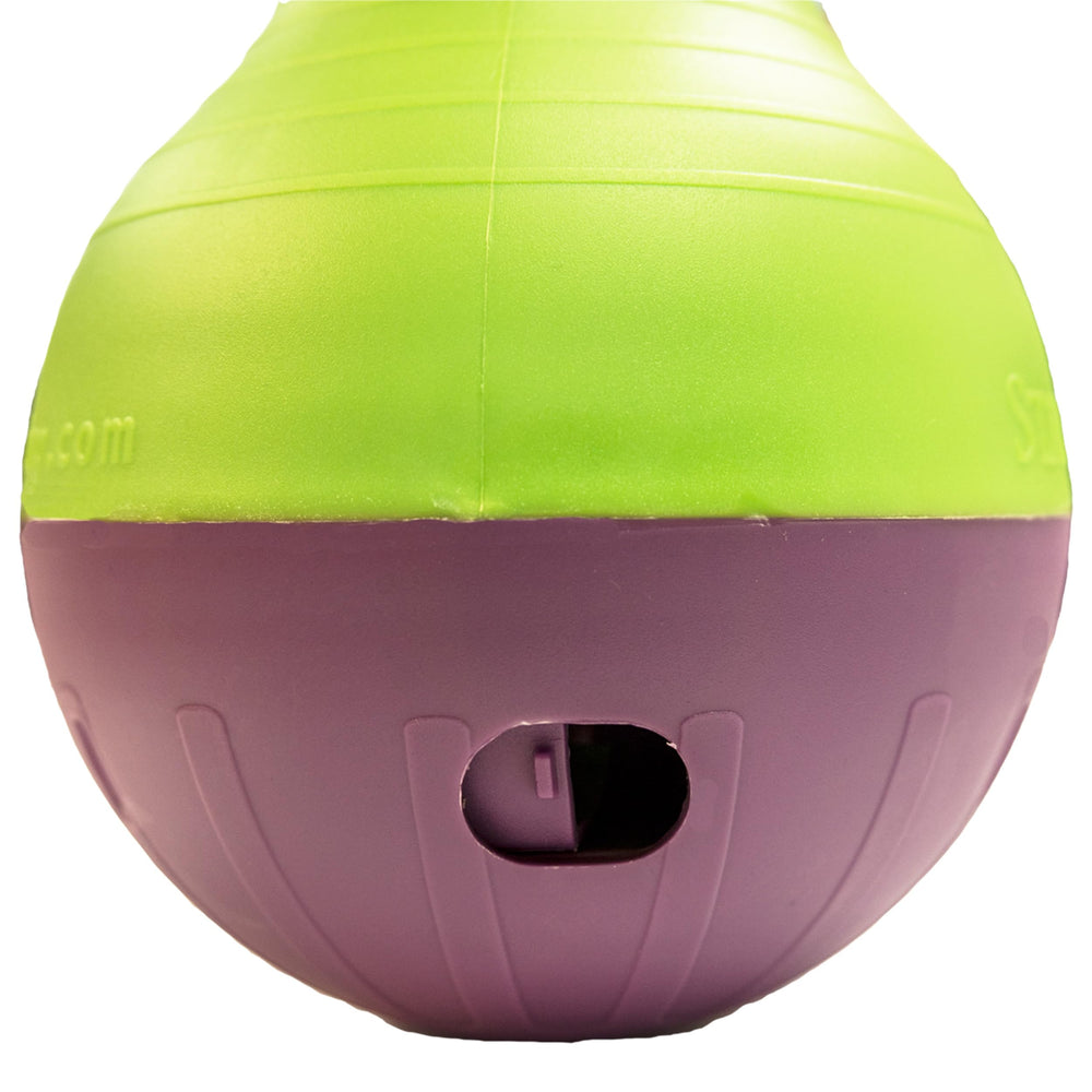Bob-A-Lot Interactive Dog Pet Toy, Large, Yellow/Green/Purple