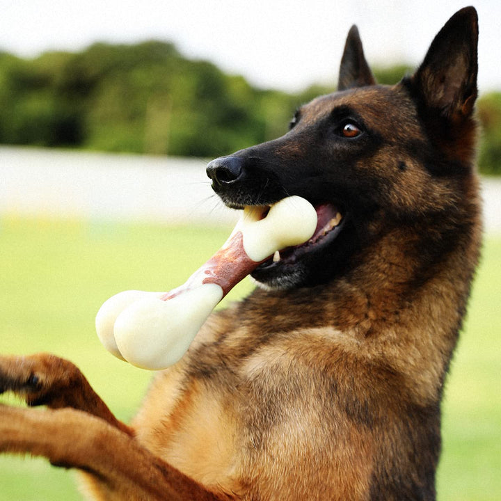 Dog Chew Toys for Aggressive Chewers, Beef Flavor Durable Teething Bones for Large/Medium/Small Puppies