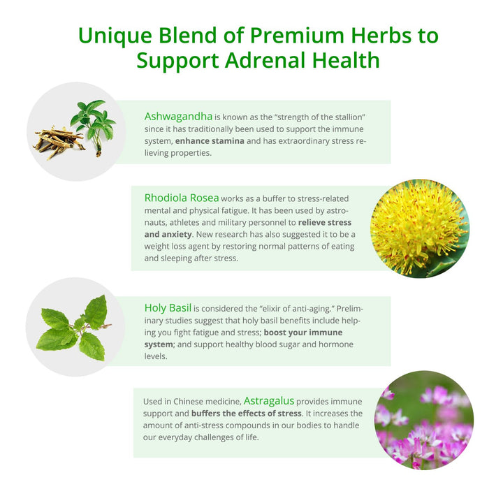 Adrenal Fatigue Support Supplement with Premium Rhodiola Rosea Herb Extract, L-Tyrosine, Panax Ginseng, Holy Basil - PS Cortisol Gland Complex for Health Insufficiency Calm Energy Response