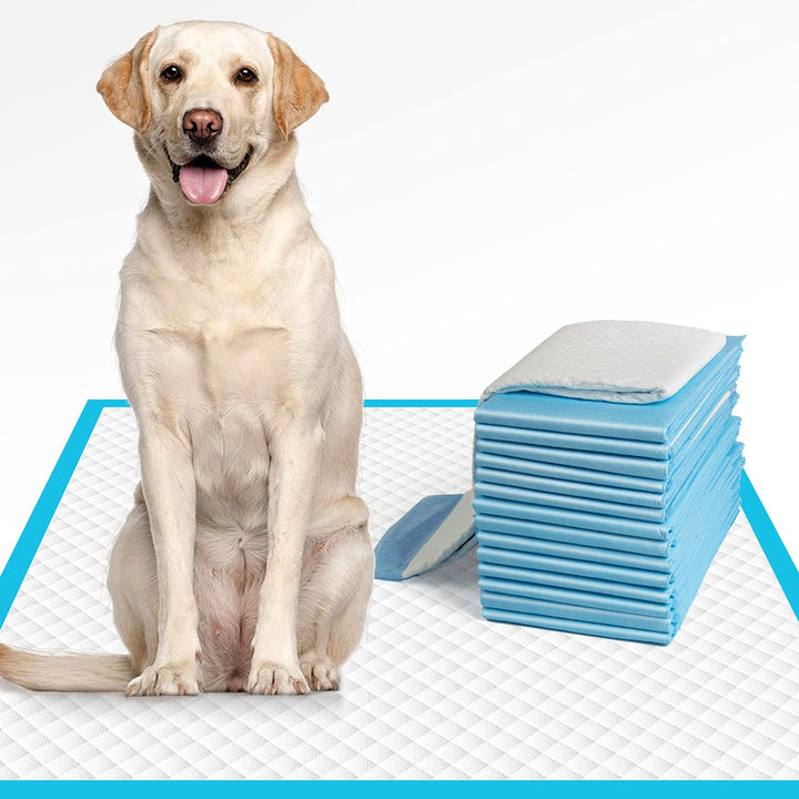 Dog Pee Pads Extra Large 28x34, X-Large Training Puppy Pee Pads Super Absorbent & Leak-Proof, XL Disposable Pet Piddle Pad and Potty Pads for Dogs, Puppies, Doggie (XLarge:28*34- 30 Ct)