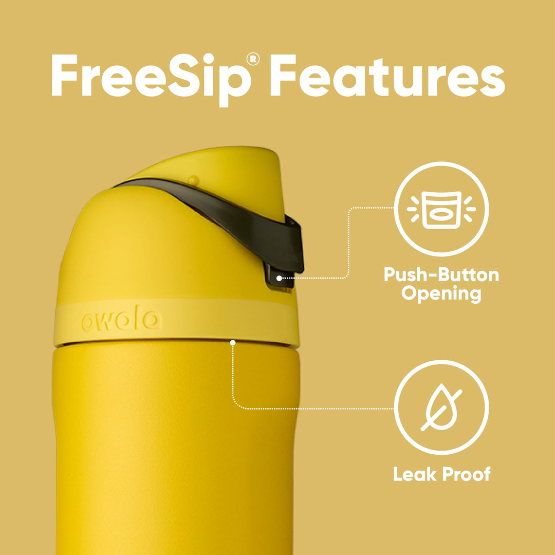 Harry Potter FreeSip Insulated Stainless Steel Water Bottle with Straw, BPA-Free Sports Water Bottle, Great for Travel, 24 oz, Hufflepuff