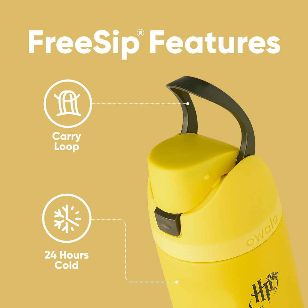 Harry Potter FreeSip Insulated Stainless Steel Water Bottle with Straw, BPA-Free Sports Water Bottle, Great for Travel, 24 oz, Hufflepuff