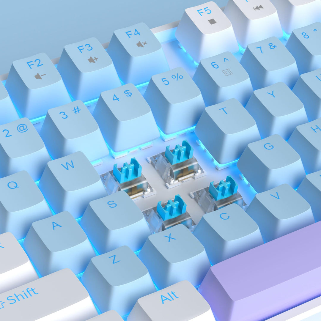 75% Mechanical Gaming Keyboard with Blue Switch, LED Blue Backlit Keyboard, 87 Keys Compact TKL Wired Computer Keyboard for Windows Laptop PC Gamer - Blue/White