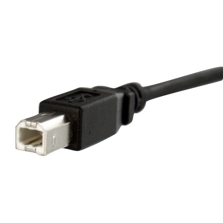 1 ft Panel Mount USB Cable B to B - F/M - USB Type B (F) to USB Type B (M) - USB 2.0 - Molded Hood - Black (USBPNLBFBM1)