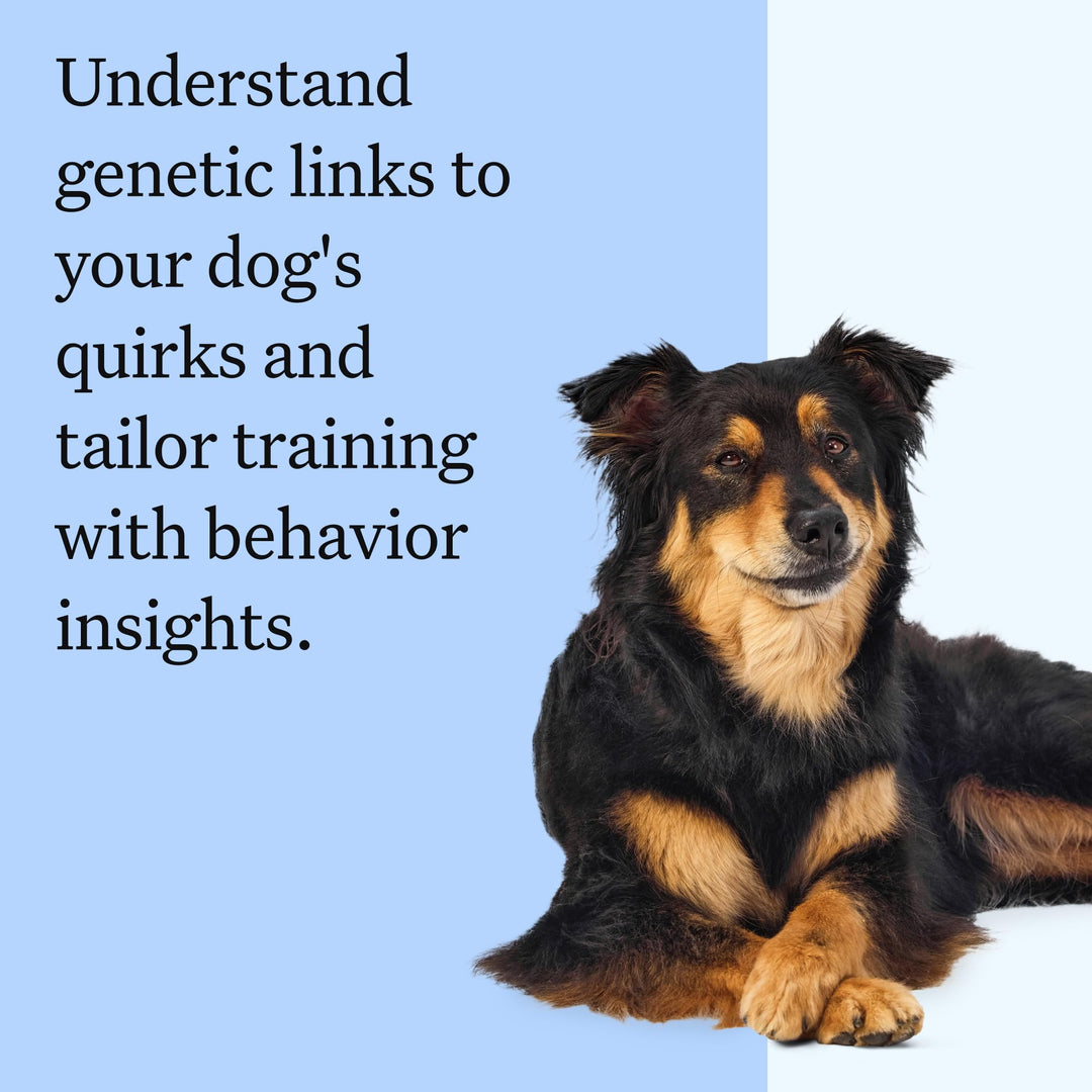 Health Panel Breed Discovery Dog DNA Kit: Most Accurate Dog Breed Identification, Test for 365+ Breeds, MDR1 Health Test, Ancestry, Relatives