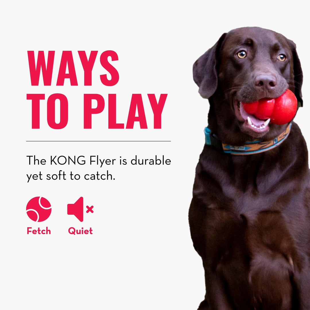 Flyer - Durable Dog Toy for Outdoor Playtime - Natural Rubber Flying Disc, Dog Toy for Fetch - Safer Disc for Healthy Activity - for Small Dogs