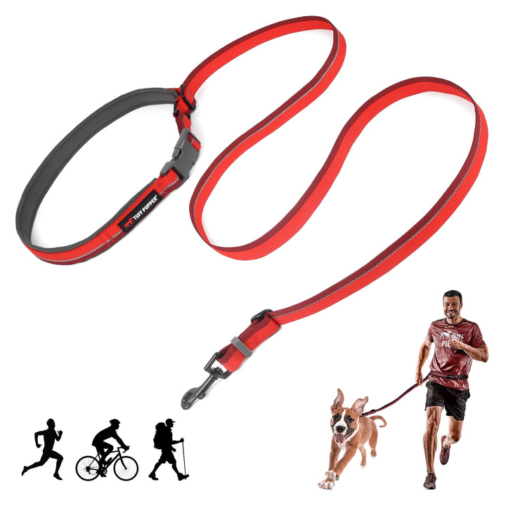 Dog Training Bungee Leash | Comfortable Neoprene Handle | Heavy Duty Zinc Alloy Hardware | Perfect Training Lead for Medium to Large Dogs