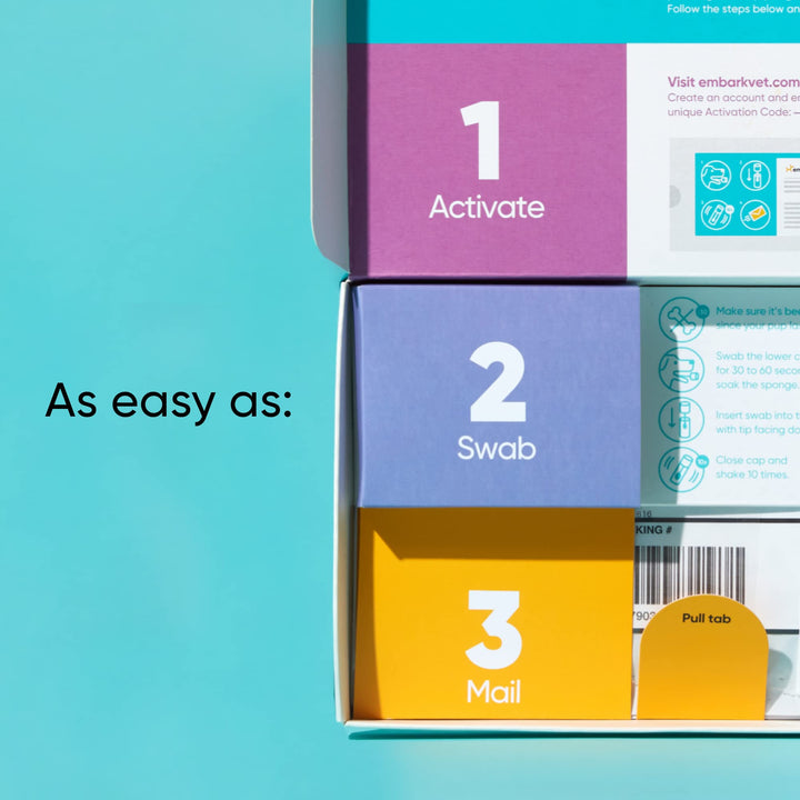 Purebred Kit - Dog DNA Test - Health, Traits, Genetic Diversity Score (COI), Breed Confirmation