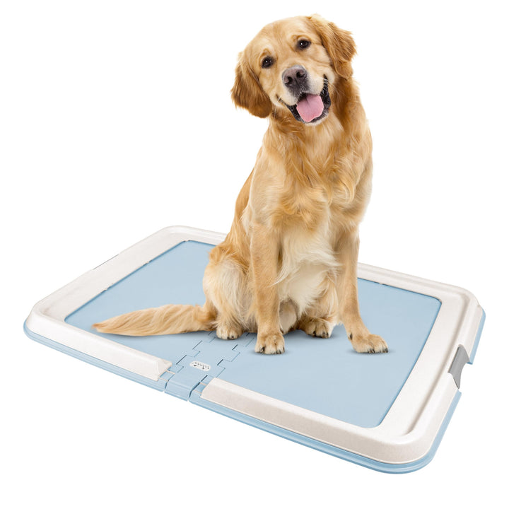 USA Pee Pad Holder - For Large Sized Dog and Puppy Pee Pads, Secured Latches, Non-Skid Feet, High Polish Finish for Easy Cleaning, Leak Protection, Fits 23x35 Pad or Larger, Square, Blue