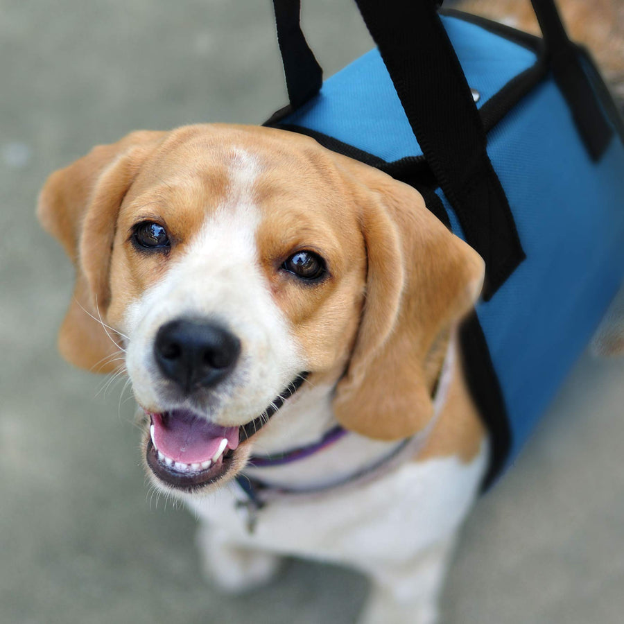 Pet Sling Dog Harness Blue (Large)