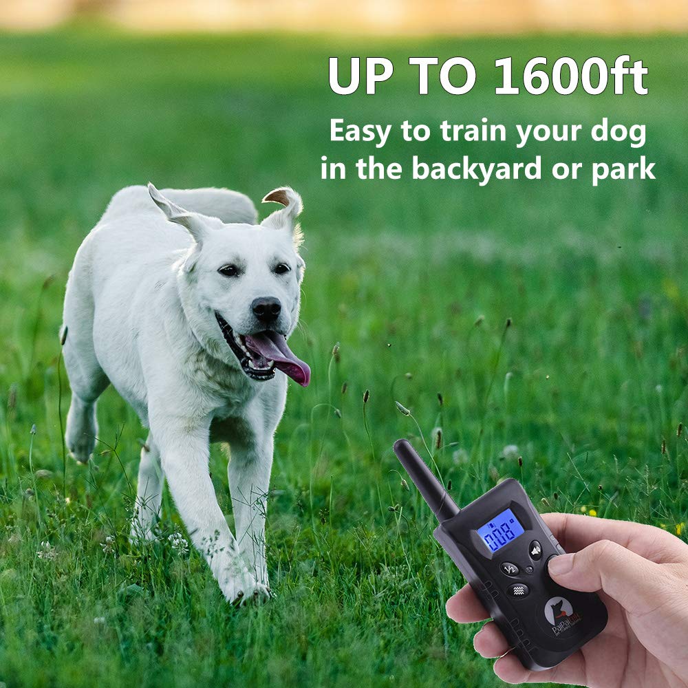 PaiPaitek No Shock Dog Training Collar with Remote, Lightest Vibration Collar for Small Dogs 5-15lbs & Medium Large Dogs, Rechargeable, Waterproof, 1600ft Range, No Prongs