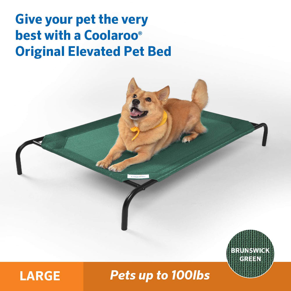 Gale Pacific The Original Cooling Elevated Dog Bed, Indoor and Outdoor, Large, Brunswick Green, 51.00 x 31.50 x 8.00
