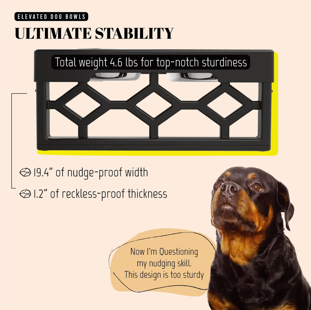 Large Dog Bowls Elevated, 4 Height Adjustable Raised Dog Bowl Stand with 2 Stainless Steel Food and Water Bowls Set, Tall Dogs Feeding Station with Anti-Slip Base for Medium Large Breeds Dogs