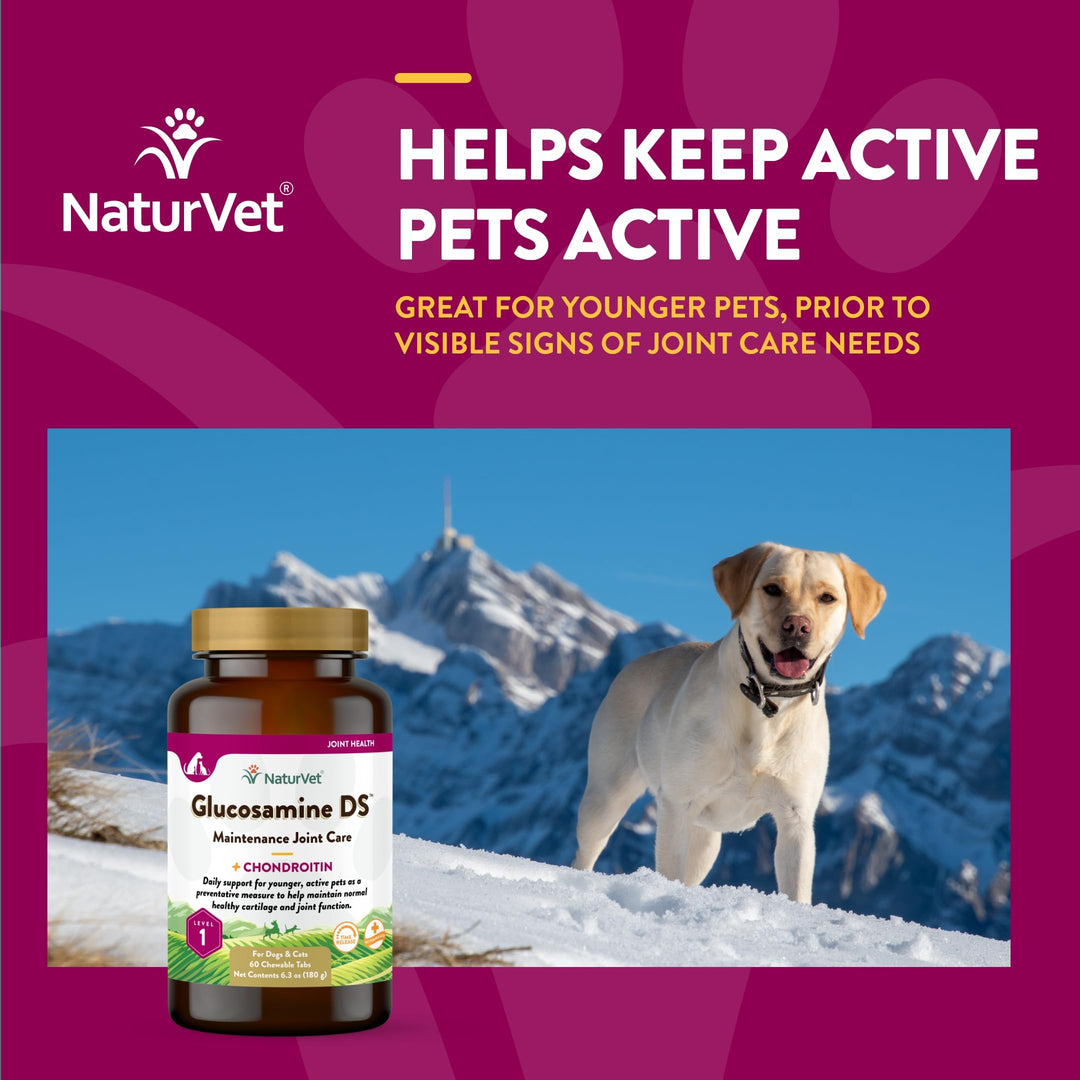 Nature Vet Glucosamine DS with Chondroitin Hip & Joint, Stage 1 (Maintenance Formula) 60 chewable tablets