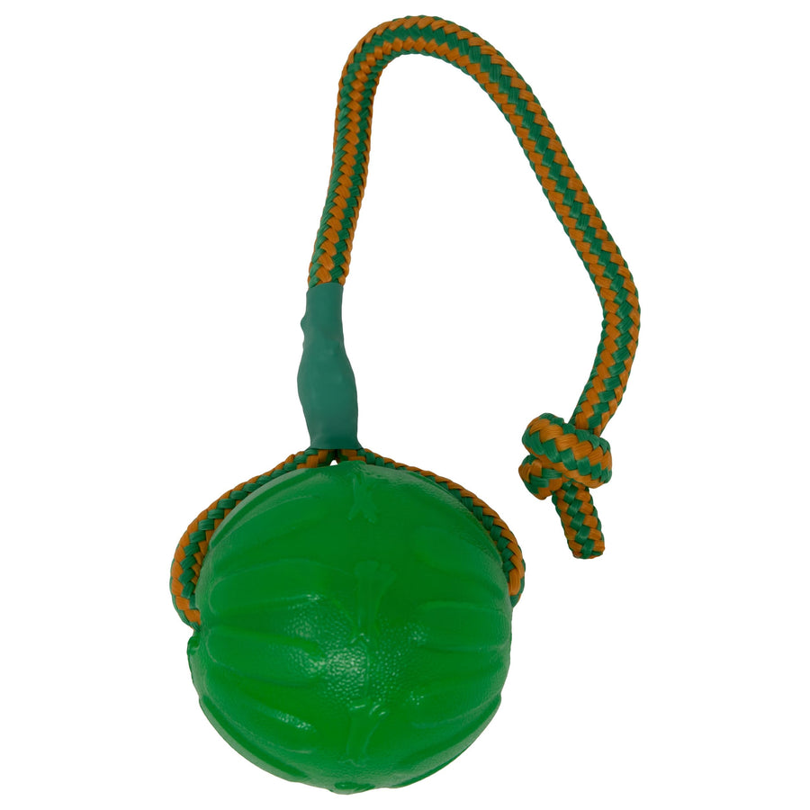 Everlasting Fun Ball on a Rope Dog Toy,Greens,Medium/Large