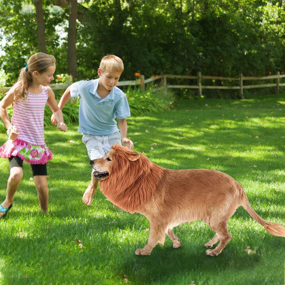 Dog Lion Mane Costume - Pet Wig Clothes for Halloween Party - Lion Wig for Medium to Large Sized Dogs Lion Mane Funny Dogs