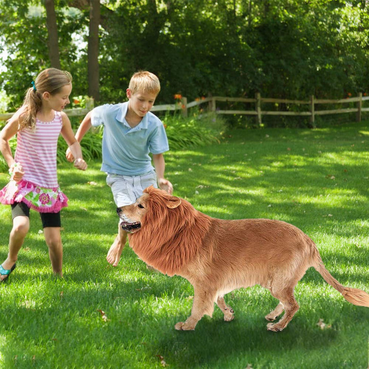 Dog Lion Mane Costume - Pet Wig Clothes for Halloween Party - Lion Wig for Medium to Large Sized Dogs Lion Mane Funny Dogs