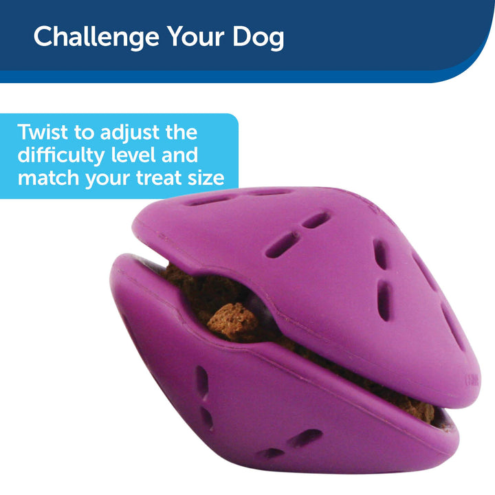 Busy Buddy Twist 'n Treat Dispensing Dog Toy - Large
