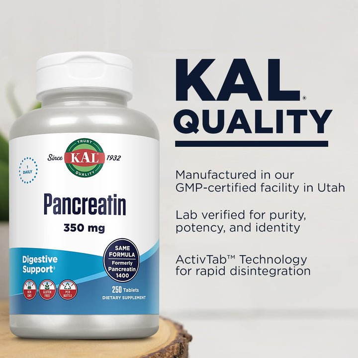 Pancreatin 350mg, Digestive Enzymes for Women and Men, Pancreatic Enzymes for Digestive Health Support, Gluten Free, Non-GMO, Rapid Disintegration, 60-Day Guarantee, 250 Servings, 250 Tablets