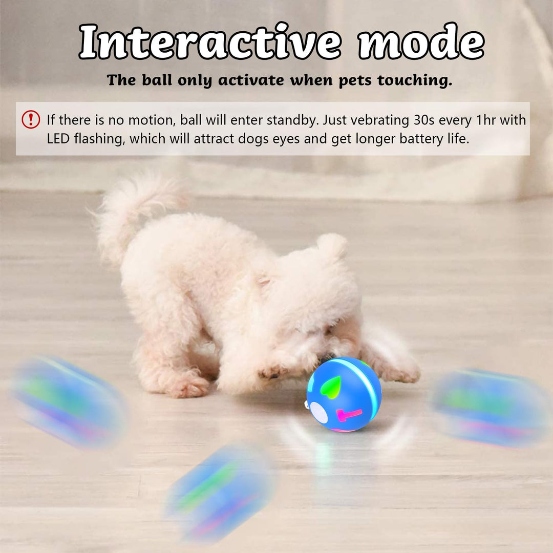 Interactive Dog Toy Wicked Ball for Indoor Cats/Dogs with Motion Activated/USB Rechargeable