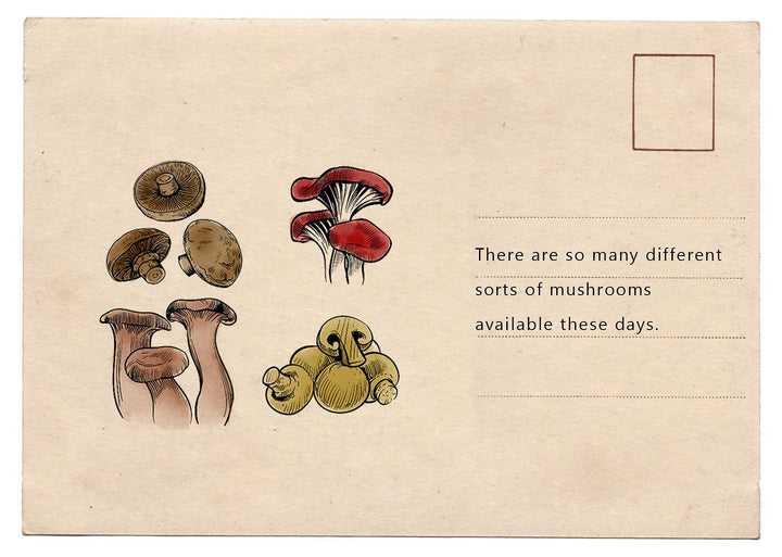 Fall Thanksgiving Mushroom Clear Stamps for Card Making and Photo Album Decorations, Autumn Mushroom Transparent Stamp Harvest Vegetable Plants Rubber Stamps Seal for DIY Scrapbooking