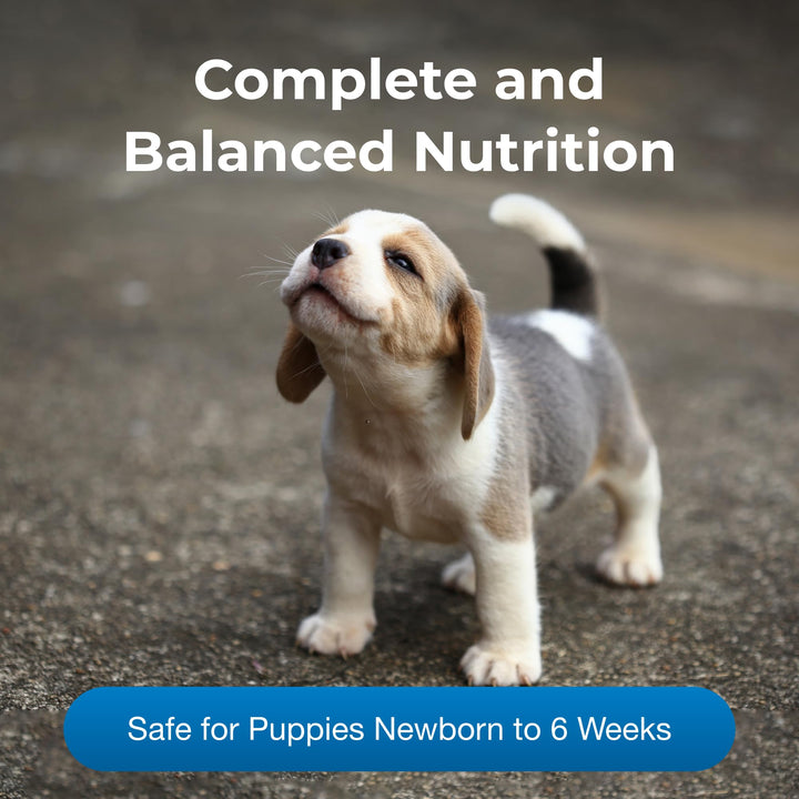 Pet-Ag PetLac Powder for Puppies - 10.5 oz - Puppy Milk Replacement Powder for Puppies Newborn to Six Weeks Old - Easy to Digest