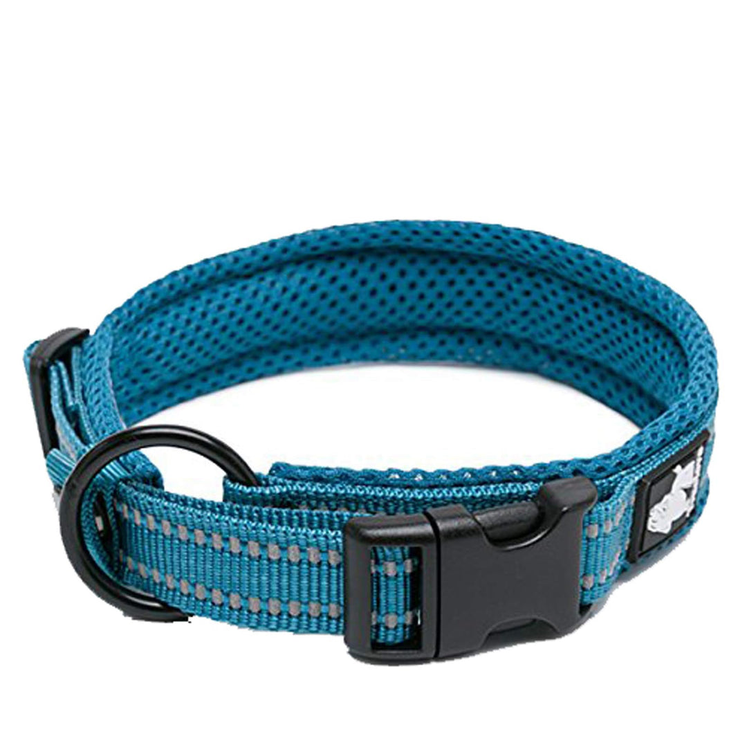 Truelove Dog Collar Reflective Premium Duraflex Buckle,High Grade Nylon Webbing No Choke Basic Collars TLC5011(Blue,M)