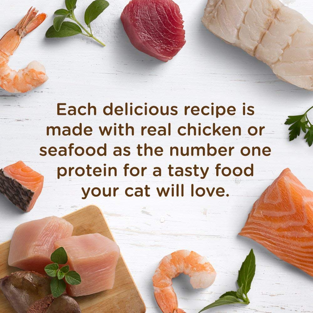 Rachael Ray Natural Wet Cat Food, Tuna Purrfection Recipe, 2.8 Ounce Cup (Pack of 12), Grain Free (6303340281)
