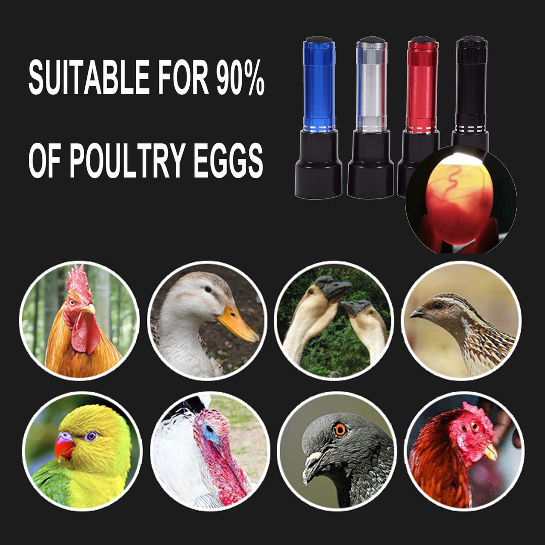 Light Egg Candler Tester Bright Cool LED Candling Lamp for All Chicken Dark Quail Duck Canary Pigeon Eggs. (red)
