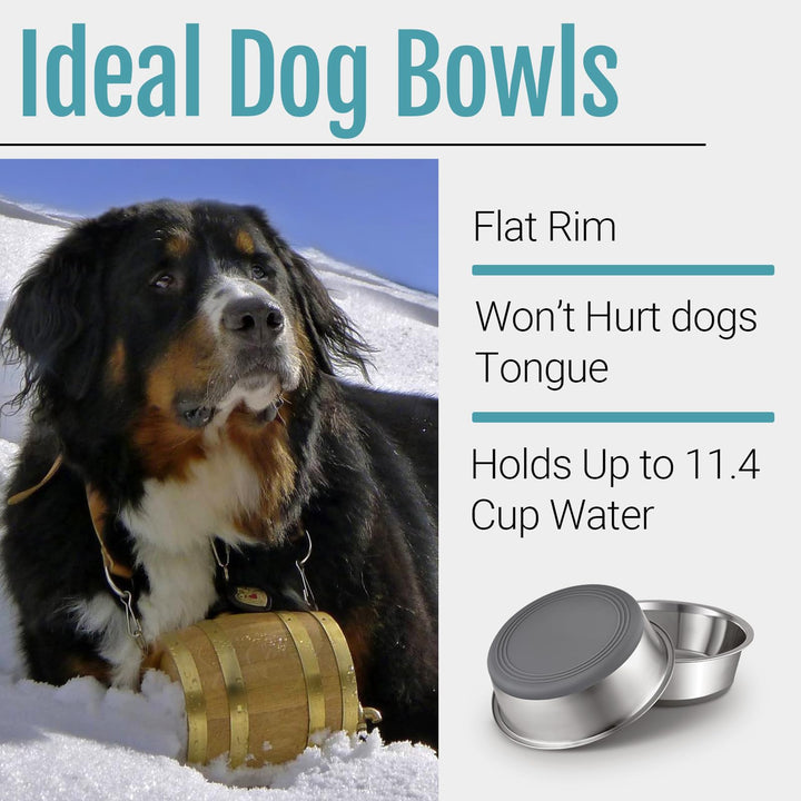 PEGYY11 Nonslip Stainless Steel Dog Bowls, 11.4 US Cup, 2 Count