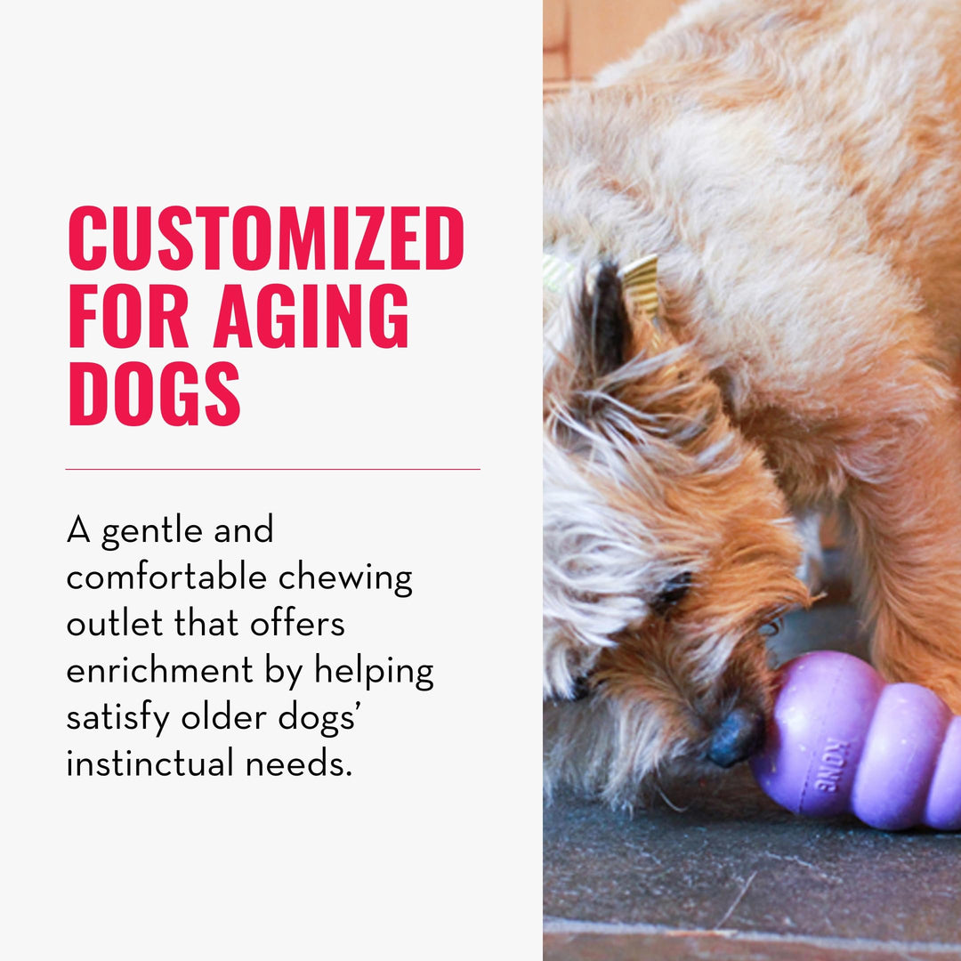 Senior - Dog Toy with Gentle, Natural Rubber - Durable Dog Toy for Older Dogs - Use Treats with Stuffable Chew Toy - Treat Toy for Chewing & Fetching - for Medium Dogs