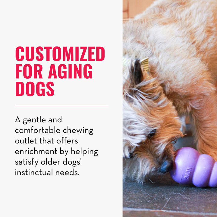 Senior - Dog Toy with Gentle, Natural Rubber - Durable Dog Toy for Older Dogs - Use Treats with Stuffable Chew Toy - Treat Toy for Chewing & Fetching - for Medium Dogs