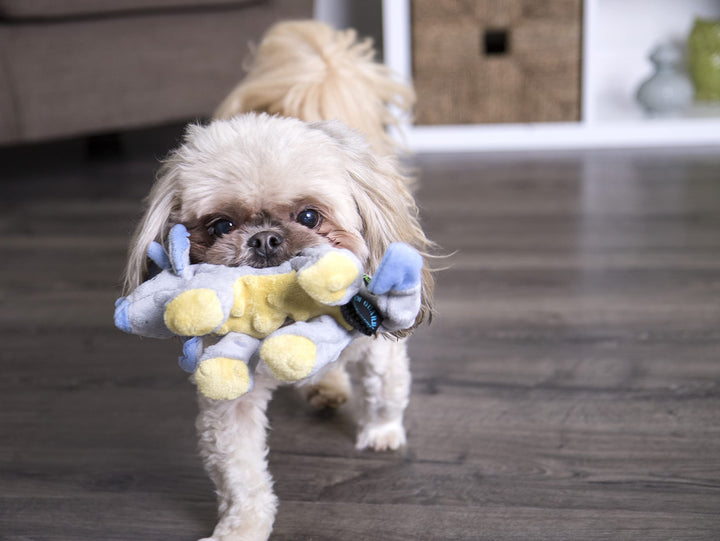 Dinos Frills Squeaky Plush Dog Toy, Chew Guard Technology - Gray, Small