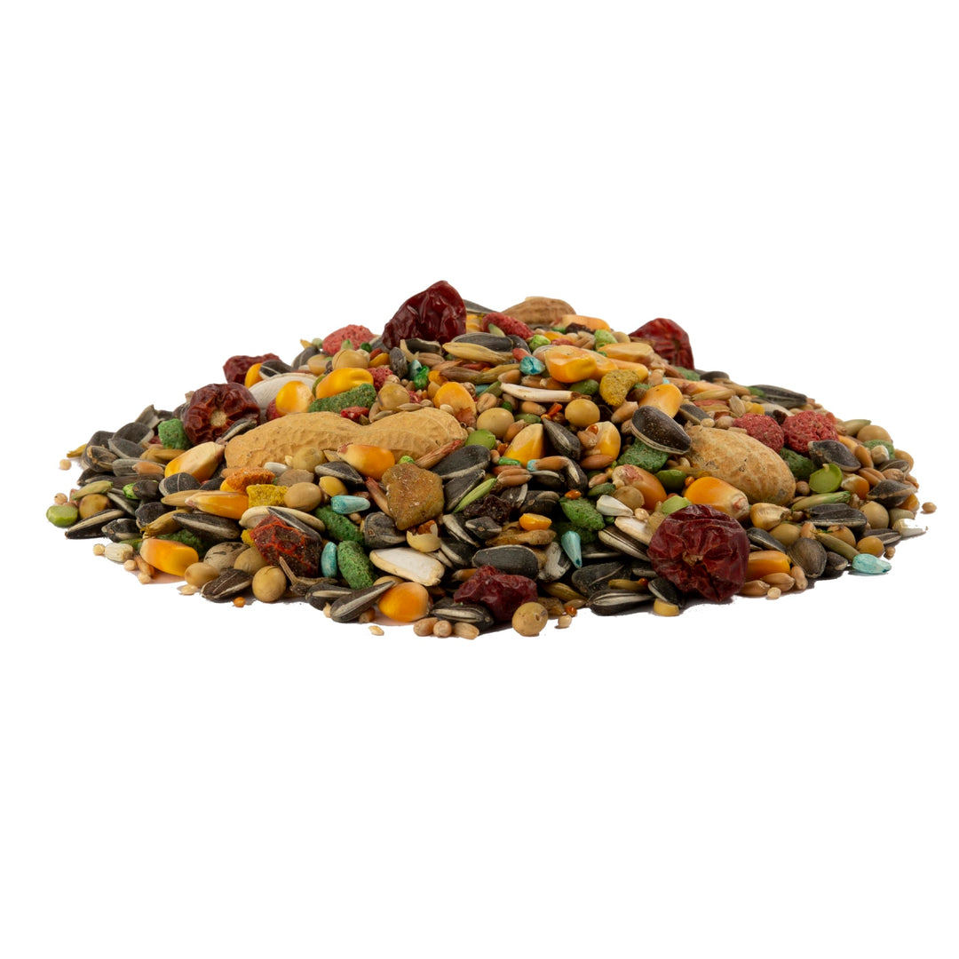 Advanced Nutrition Parrot, 4 Pounds, Seed, Grain And Vegetable Mix
