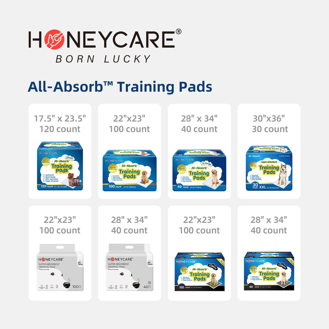 All-Absorb, XXL 30x36, 30 Count, Dog and Puppy Training Pads, Ultra Absorbent and Odor Eliminating, Leak-Proof 5-Layer Potty Training Pads with Quick-Dry Surface, Blue, A39