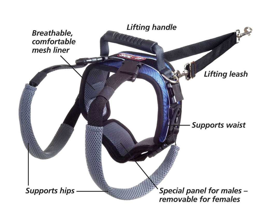 CareLift Rear Support Harness - Lifting Aid with Handle and Shoulder Strap - Fits Waist Measuring 27-37 inches, Dog Weight 70lb-130lb, Large, Black