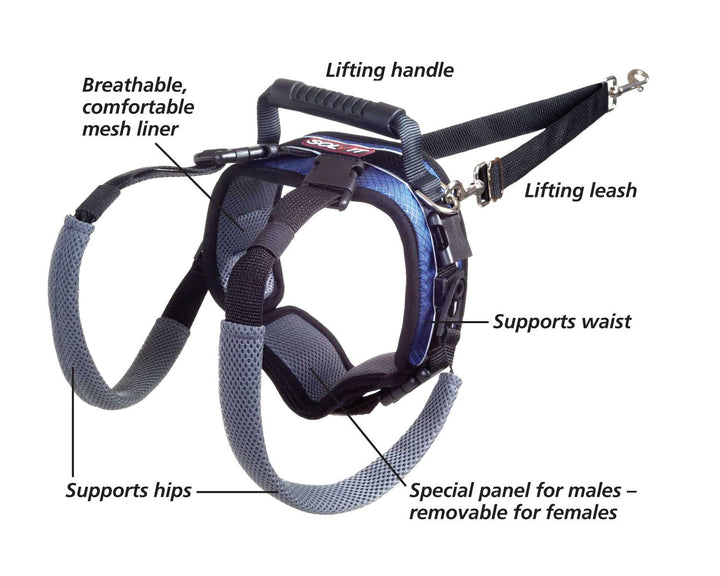 CareLift Rear Support Harness - Lifting Aid with Handle and Shoulder Strap - Fits Waist Measuring 27-37 inches, Dog Weight 70lb-130lb, Large, Black