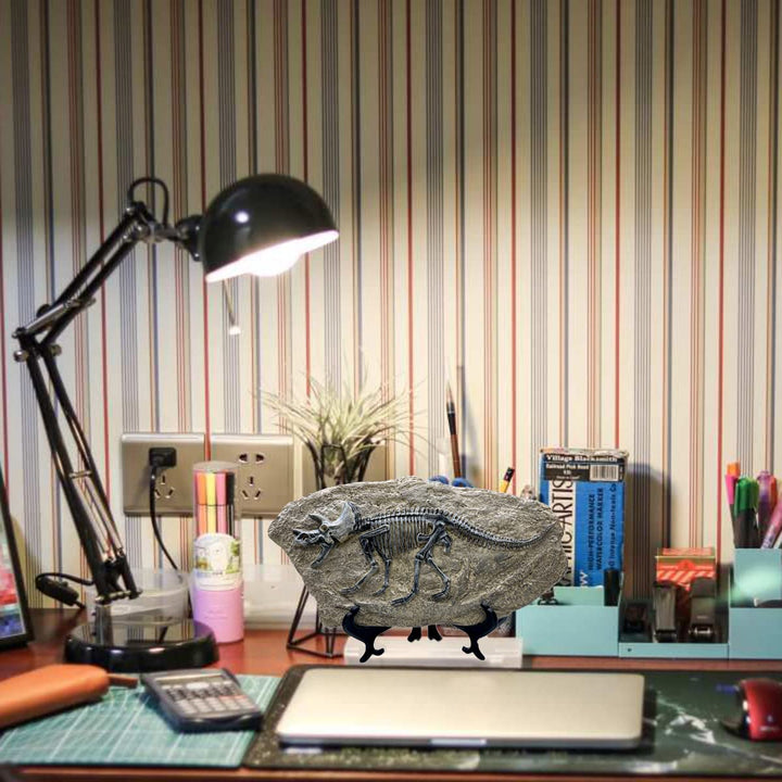 Resin Triceratops Dinosaur Fossil Statue Model Simulated Skeleton Home Office Display Decorative Craft Box Decoration (Style 6)
