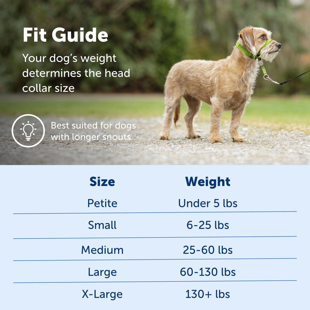 Gentle Leader No-Pull Dog Headcollar - The Ultimate Solution to Pulling - Redirects Your Dog's Pulling for Easier Walks - Helps You Regain Control - Small, Raspberry Pink,1 Count (Pack of 1)