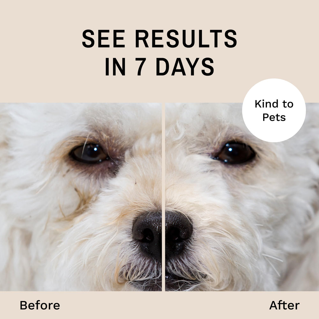 Dog Tear Stain Remover Starter Kit with ProPowder Brush | Stain Solution, Applicator Pads, Stain Powder and Small Applicator Brush | Lasts 30-45 Days