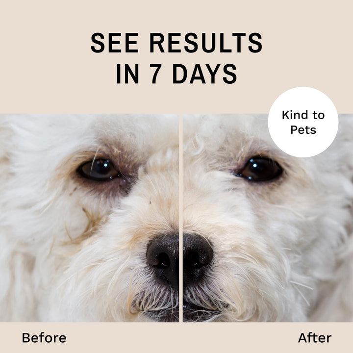 Dog Tear Stain Remover Starter Kit with ProPowder Brush | Stain Solution, Applicator Pads, Stain Powder and Small Applicator Brush | Lasts 30-45 Days