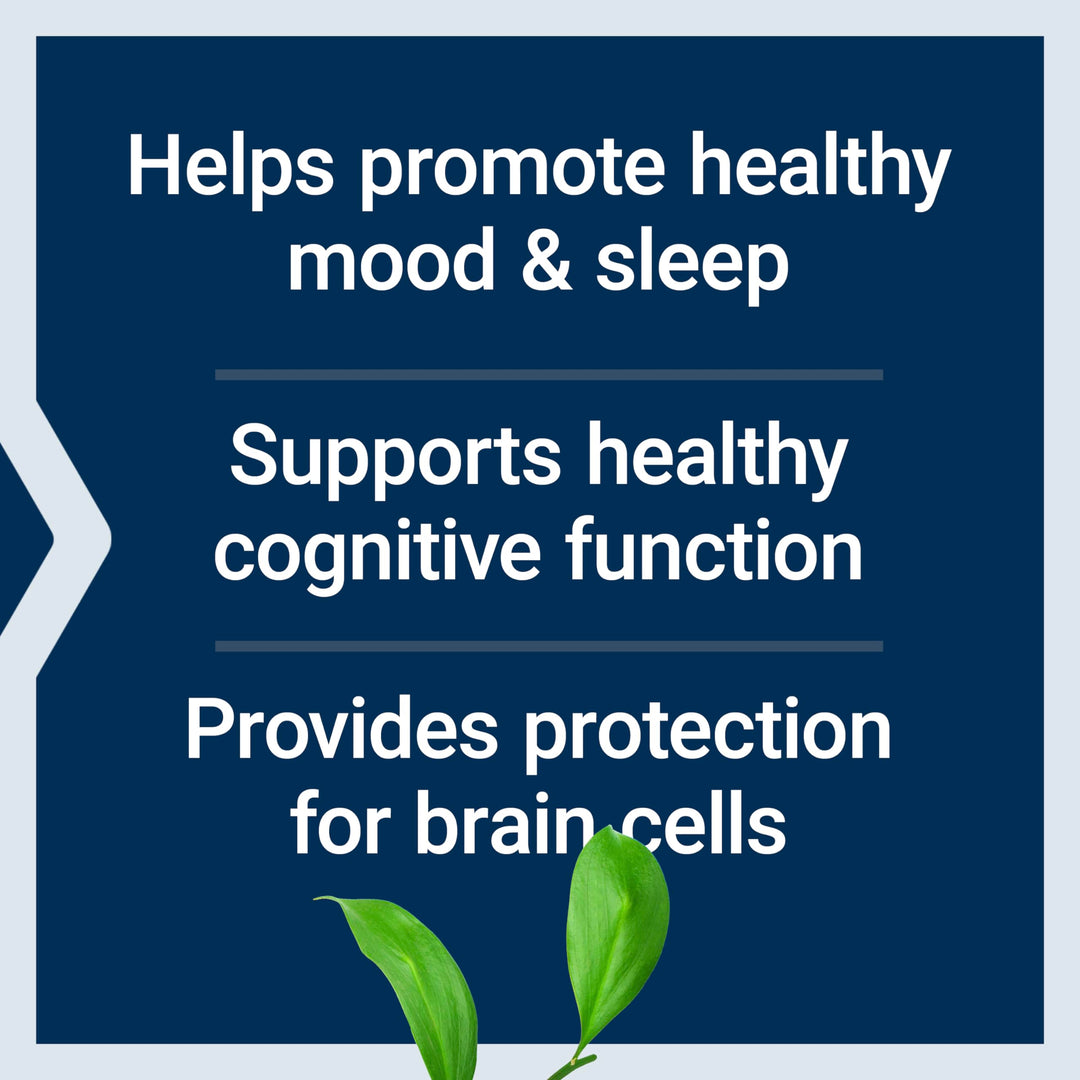 D, L-Phenylalanine Capsules, 500 mg – Supports Mood Health, Promotes Neurotransmitter Health – Gluten-Free, Non-GMO, Vegetarian – 100 Capsules