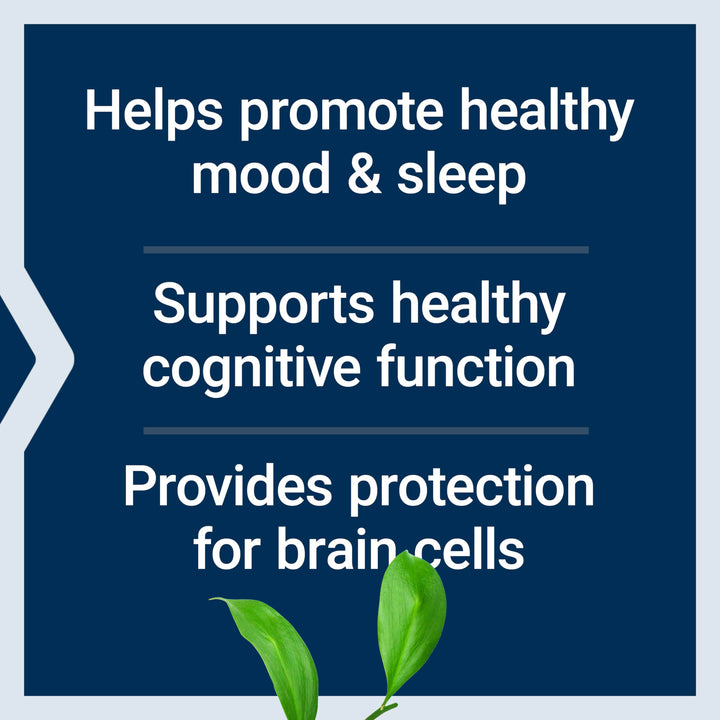 D, L-Phenylalanine Capsules, 500 mg – Supports Mood Health, Promotes Neurotransmitter Health – Gluten-Free, Non-GMO, Vegetarian – 100 Capsules