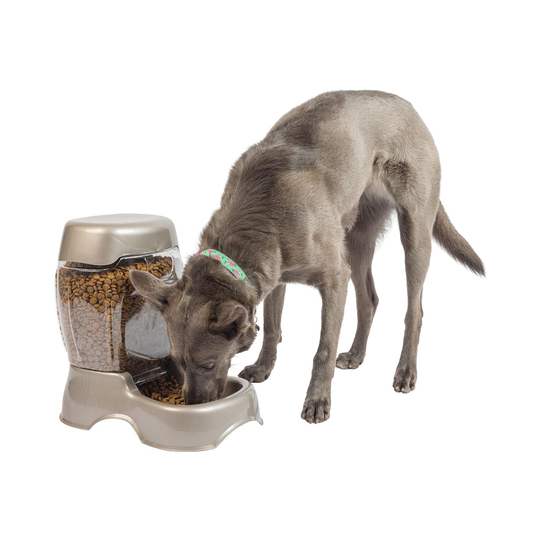 Pet Cafe Feeder Dog and Cat Feeder Pearl Tan, 12 lb, Made in USA