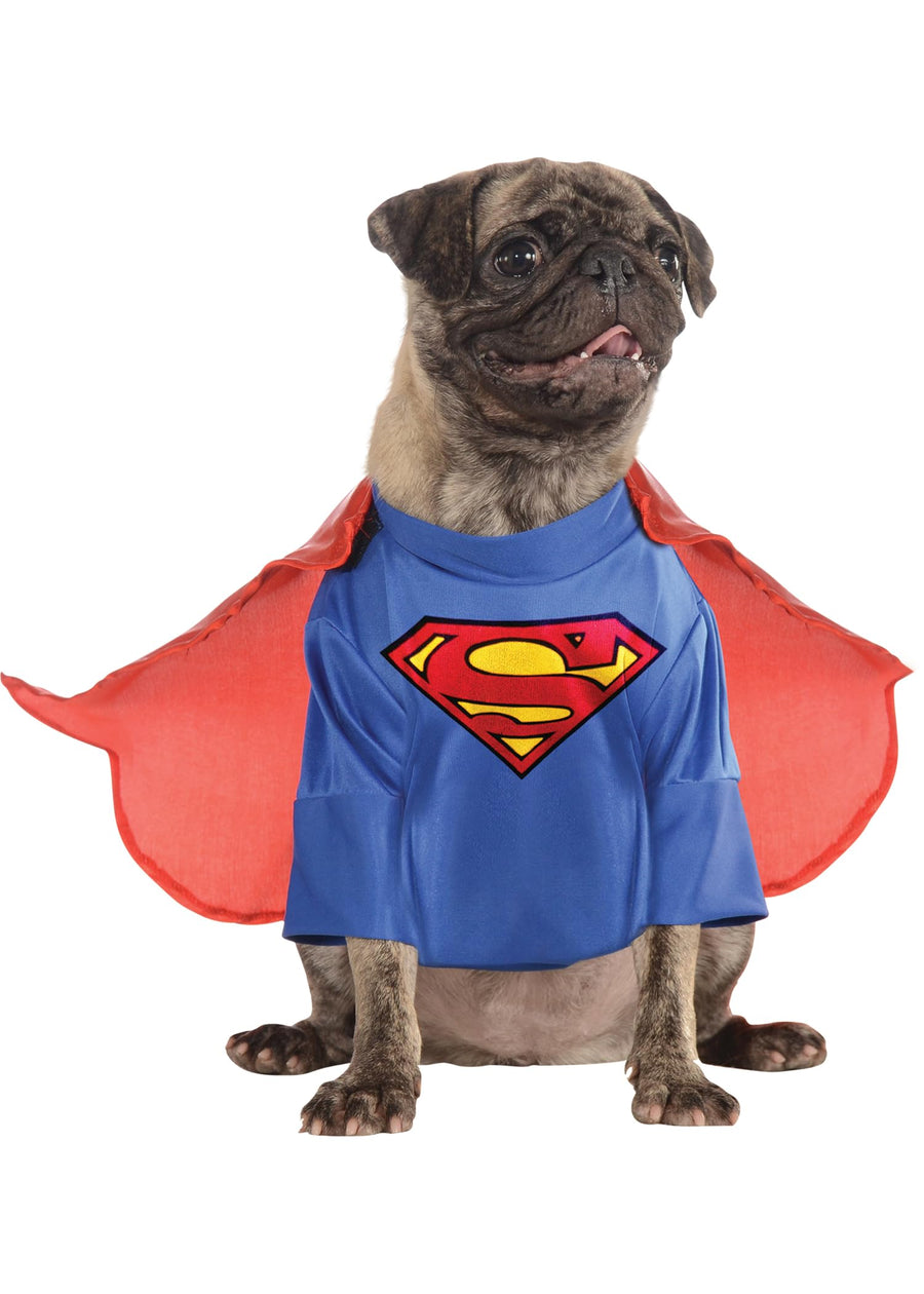 DC Comics Superman with Arms Pet Costume for Themed Parties and Halloween, Small