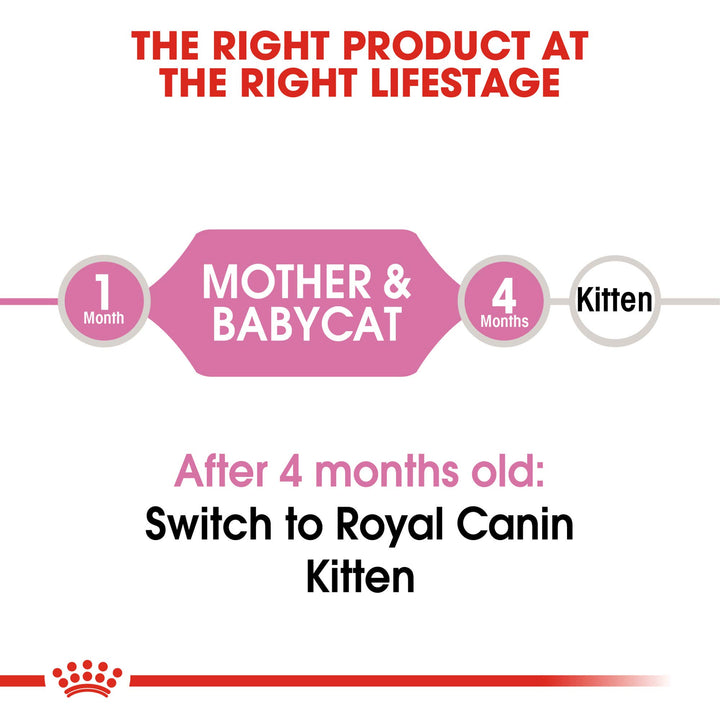 Feline Health Nutrition Mother & Babycat Dry Cat Food, 3.5 lb bag