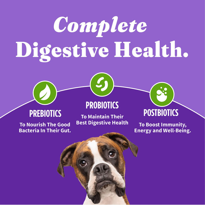 Holistic Vegan Dry Dog Food, 4-Pound Bag